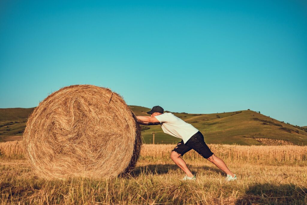 Image of person pushing a round haybale